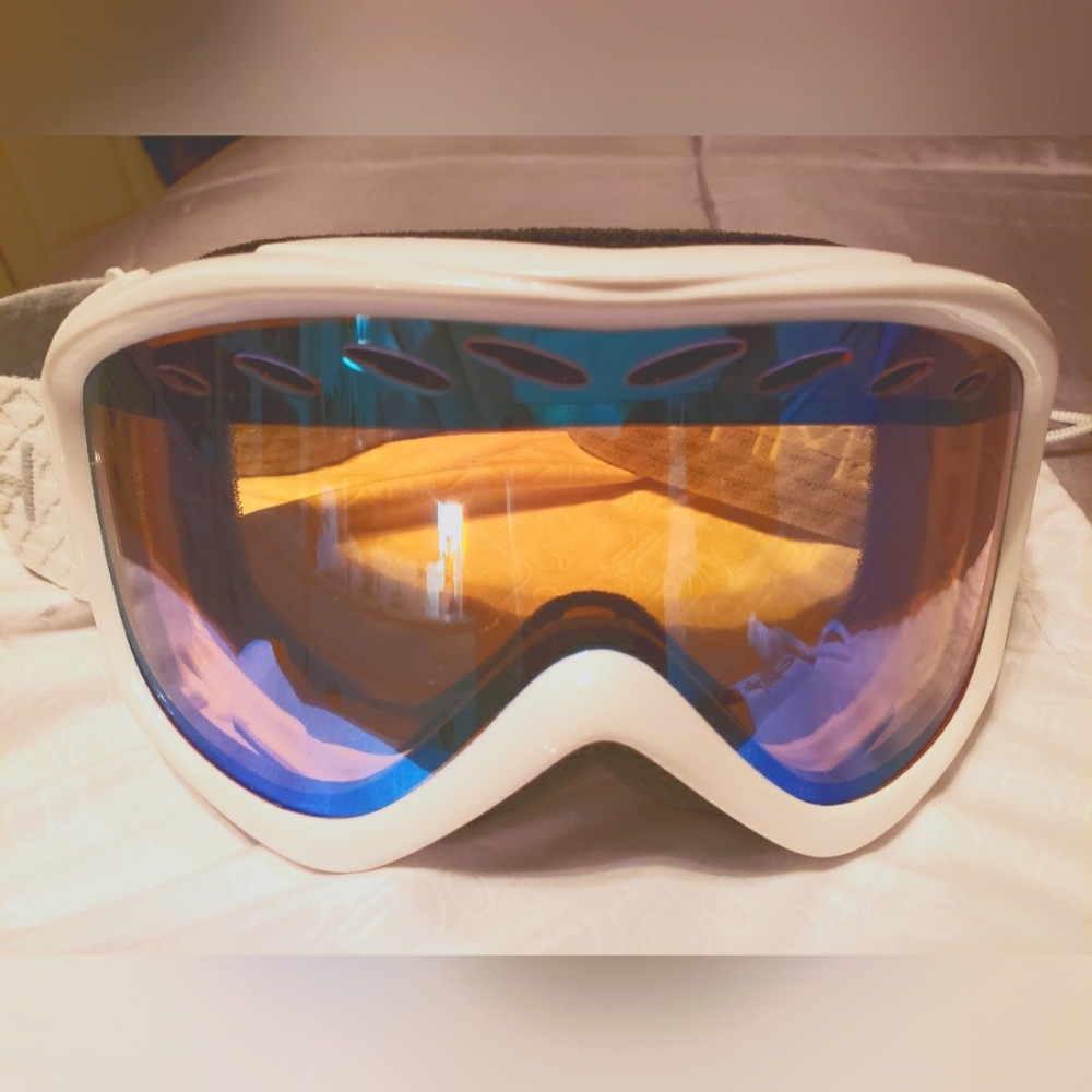 Smith Optics Ski Goggles